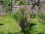 image of grave number 796822